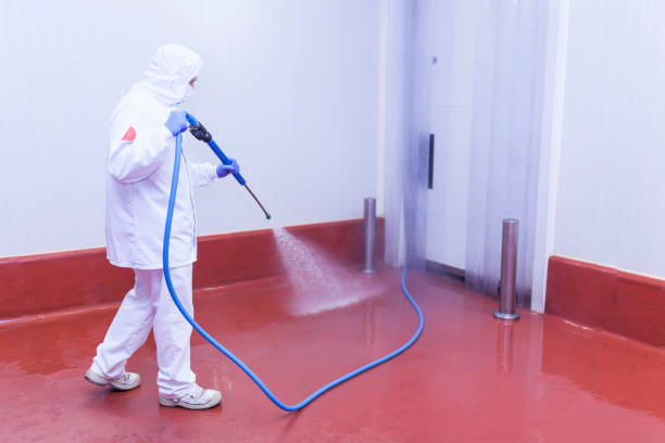 Best Paint Preparation  in Verona Walk, FL