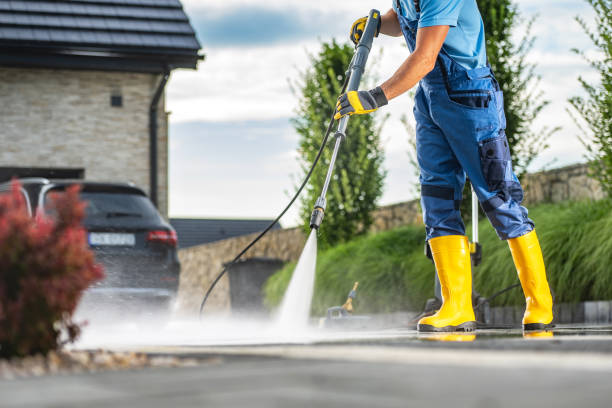 Best Solar Panel Cleaning  in Verona Walk, FL